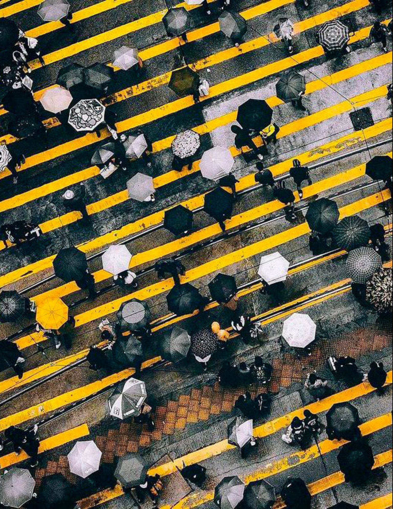 ROCKPORT CONTINUES ITS MISSION OF POWERING THE EVERYDAY JOURNEY, STAYING IN LOCKSTEP WITH LIFE.